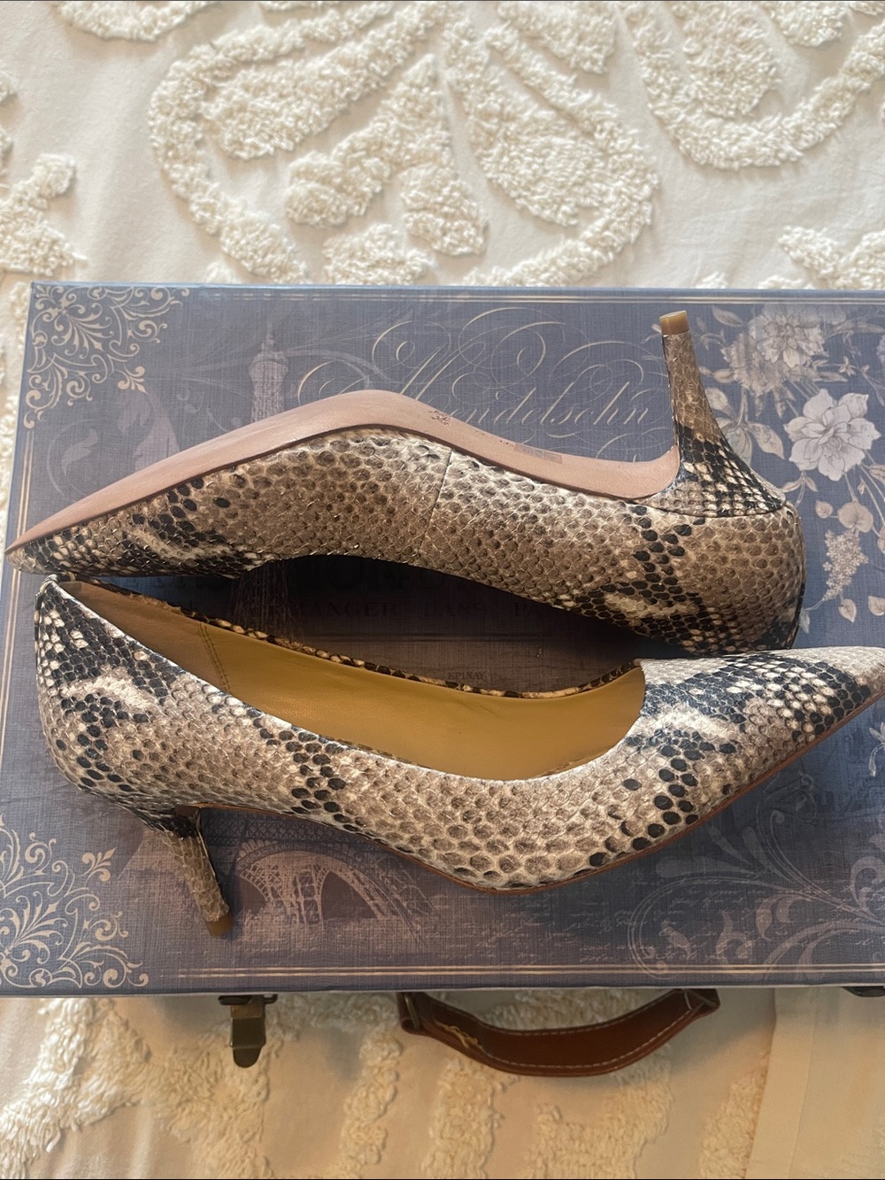 COACH Snake-Print Pointed Toe Pumps in Beige and Black - Picture 2 of 7